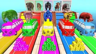 Long Slide Game Cow, Lion, Elephant and Gorilla Hippopotamus Tiger 3d Animal Game Funny 3d Animals