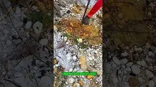Traditional gold mining revealed a $3000 gold treasure #goldrush #goldmining #goldpanning