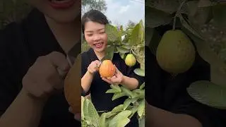 Guava fruit cutting skills eating so fresh #fruit #guava