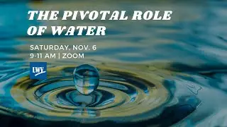 The Pivotal Role of Water