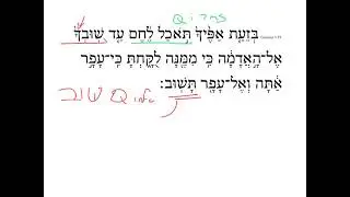 Genesis 3:19 HebrewDaybyDay