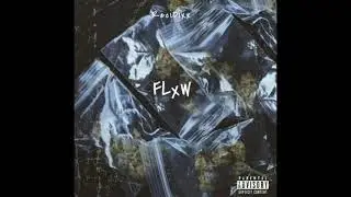 Recidixx - FLxWS