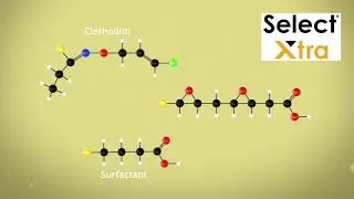 Select Xtra &ndash; the new generation of clethodim formulation