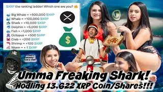 Hodling 13,622 Coin/Shares 