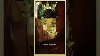 #Indoor Garden #Planters #Garden #Artificial Wall #Buddha #Peaceful Corner #HomeDecor #Lights #Home