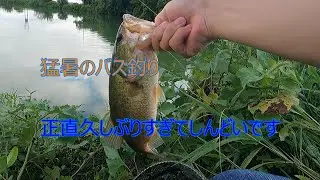 猛暑のバス釣り楽しいけどマジで熱い