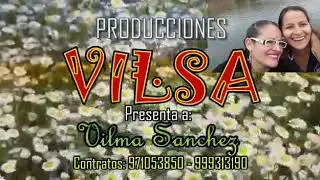 Vilma Sanchez - Sunquschay Imamanta&ntilde;an Nananki - Huayno 2019 - 2020