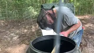Setting up an automatic pig watering system. Or for any four-footed farm animal