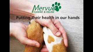 Mervue Laboratories Ireland Canine and Feline Health