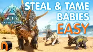 Ark Survival Ascended КРАДИТЕ И ПРИРУЧАЙТЕ ДЕТЕНЫШЕЙ ДИНОЗАВРА!