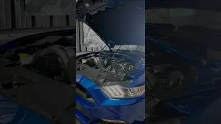 you can HEAR the SUPERCHARGER 🔊 #dyno #dynotuning #cartuning #carvideo #supercharger