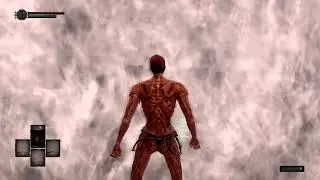 DS:R Bed of Chaos SL1 NG+6 No Roll/Block/Parry/Buffs Nothing Equipped [Flawless]
