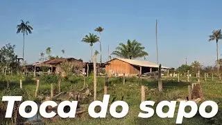 Tive uma notícia ruim po patrão tive o privilégio de ve o urubu Rei 