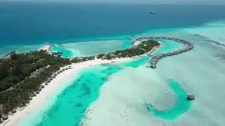 Ambient 🌺 4k Immersive relaxation 🎶