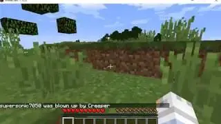 minecraft part 1: making the cringe