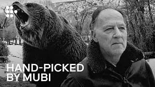 Ecstatic Truths | A Werner Herzog Documentary Retrospective | Hand-Picked by MUBI