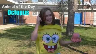04 - Solo Announcer - Crystal Lake Elementary