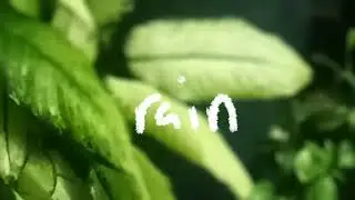 Calming Rain Background Music | Mental Therapy | Sleeping Sound | Calming Music