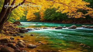 Deep Rest Music for Nighttime Relaxation and Long, Uninterrupted Sleep