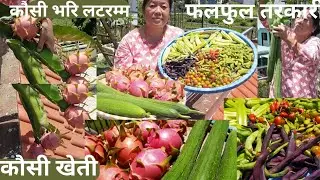 Rooftop vegetables farming in Kathmandu Nepal / Massive Harvesting in my Terrace Garden #garden