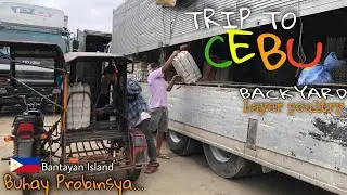 SMALL EGG BUSINESS | backyard layer poultry | BUHAY PROBINSYA | ron revilla
