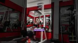 Knut almost dies while doing squats #gym #knut