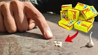 What is inside diwali POP POP CRACKERS - very shocking !