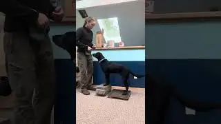 Dog squat training session #2 with Wren