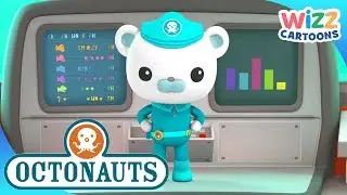 @Octonauts - Creature Report | Compilation | Wizz Cartoons