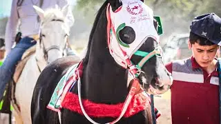 Que Hermoso Animal | El Imperio Vs La 701, Carril La Tira Durango M&eacute;x.