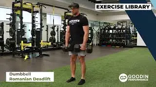 Dumbbell Romanian Deadlift | Exercise Technique Library