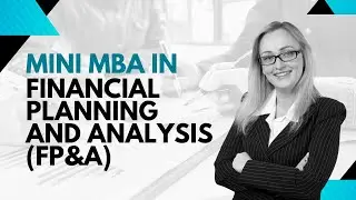 Mini MBA in Financial Planning and Analysis (FP&A)