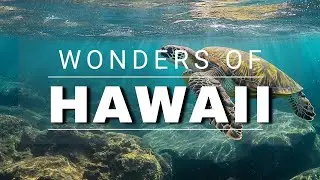 Wonders of Hawaii | The Most Beautifull Places to Visit Hawaii | Travel Video 4K