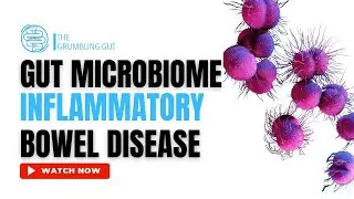 THE GUT MICROBIOME AND INFLAMMATORY BOWEL DISEASE (IBD) I THE GRUMBLING GUT