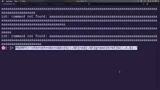 Terminal Text Wrap Bug/Glitch and Fix (zsh)
