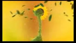 templates for after effects-Sunflower Logo