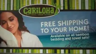Cariloha Introduction