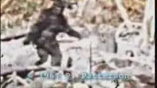 bigfoot patterson tiagopsc