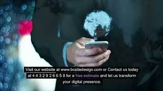Website designer, Tampa FL