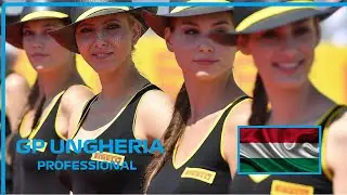 F1 2019 - GP Ungheria PROFESSIONAL (Esports Italy)