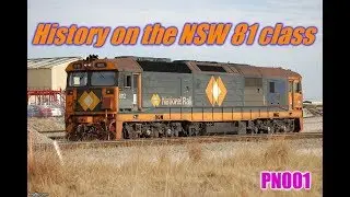 A brief history on the NSW 81 class