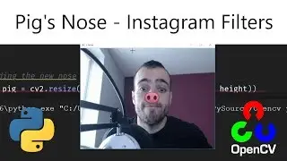 Pig's nose (Face instagram filters) - Opencv with Python