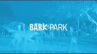 Welcome to BarkPark!