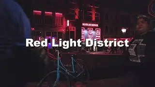 Top 5 Things To Do In Amsterdam