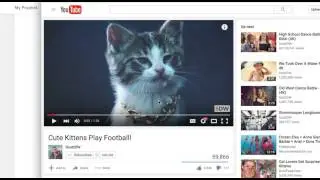 Create a project in filmfreeway