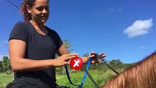 D&eacute;buter &agrave; cheval : Joanne vous donne quelques conseils