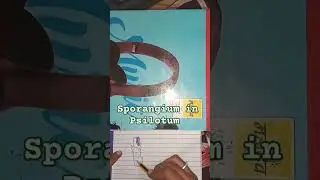 Sporangium in Psilotum#studyshortvideo #structure #botanywithtabbu #botanywithyoutube #botanynotes