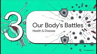 Mind map for class 12 |BIOLOGY@notebookAi
