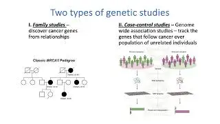 Germline Genetics and Childhood Cancer