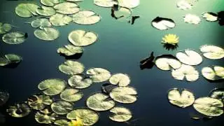 Djali Zwan - Freedom Aint What It Used To Be